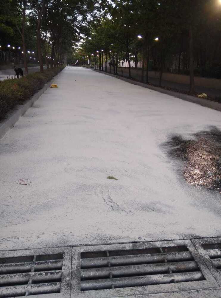 Road Construction Services