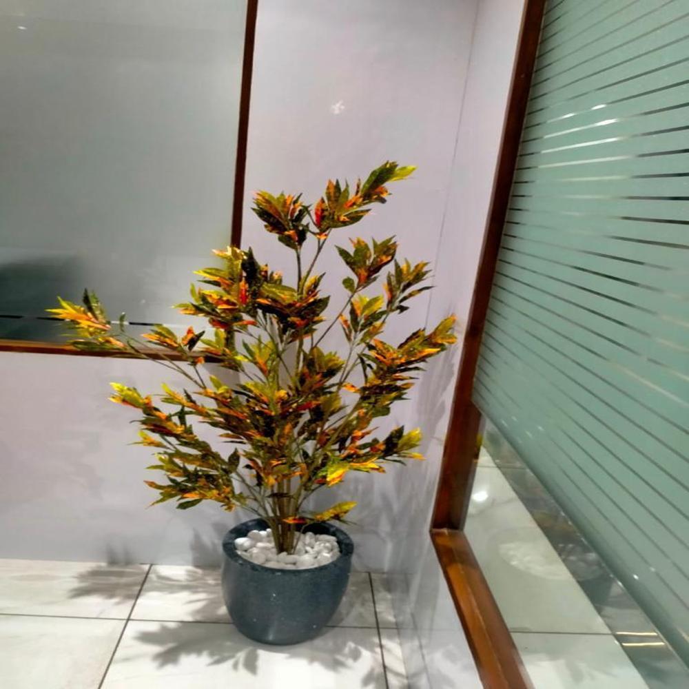 Red Leaves Platd With Pots