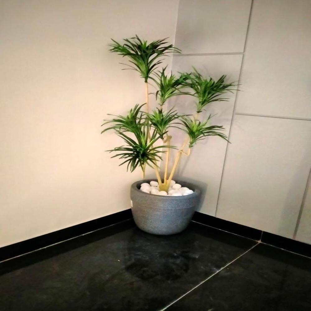 Red Leaves Platd With Pots