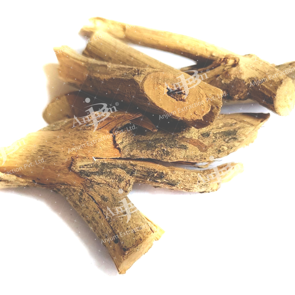 Clerodendrum Indicum (Bharangi Mool) Extract - Application: Medicine