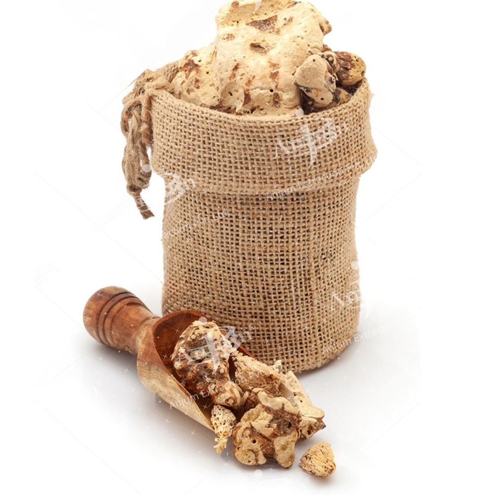 Smilax china (Chobchini) Extract