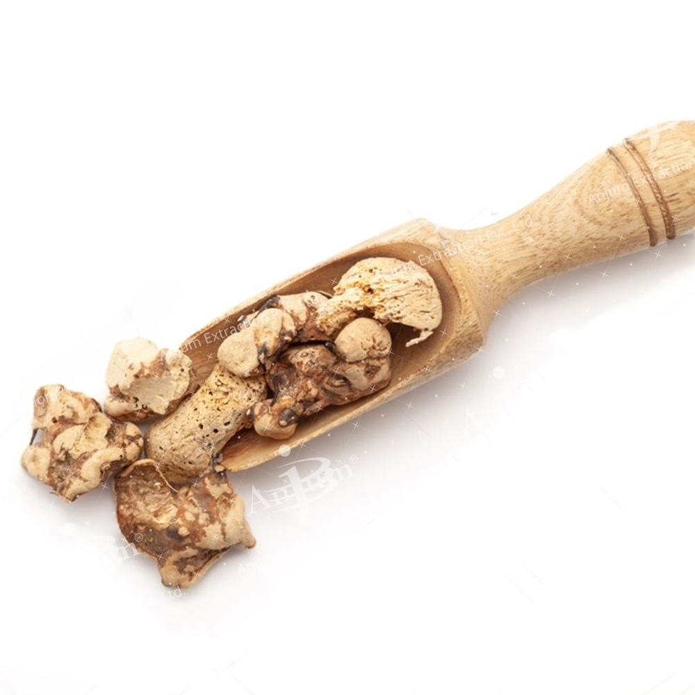 Smilax china (Chobchini) Extract