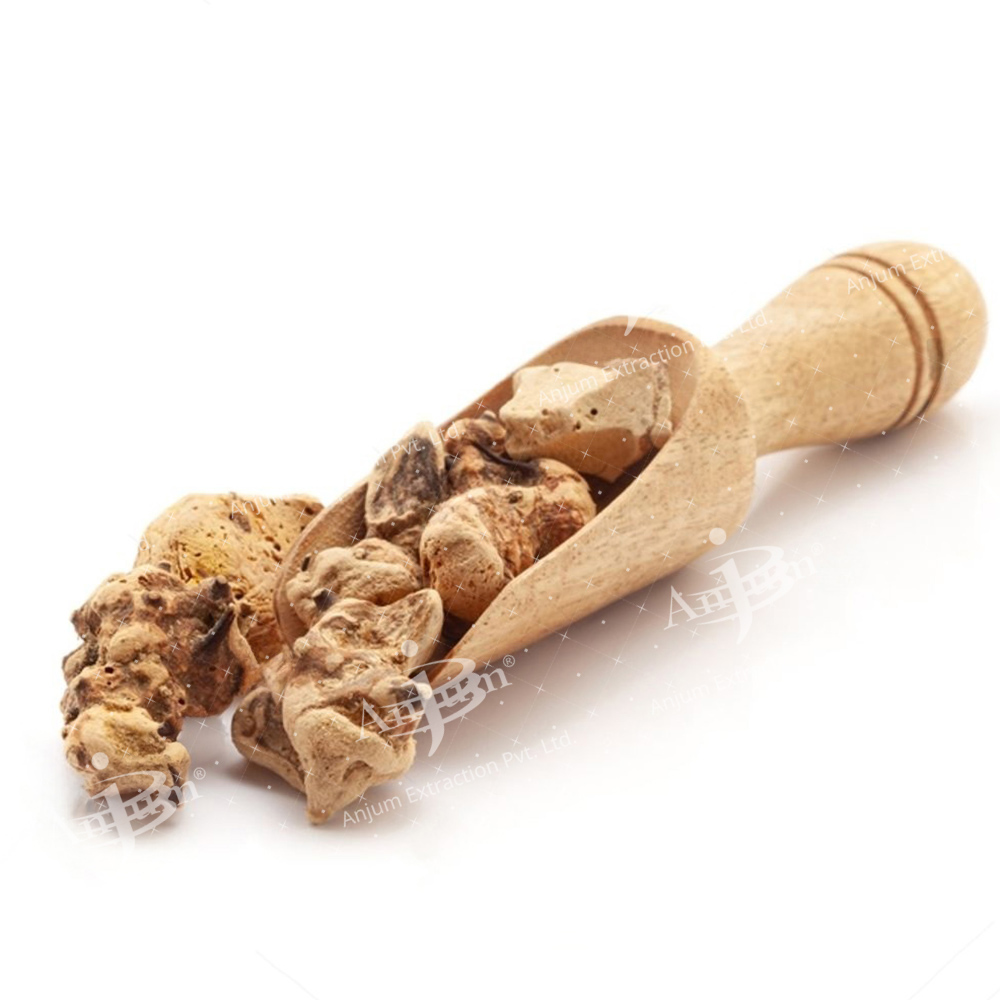 Smilax china (Chobchini) Extract