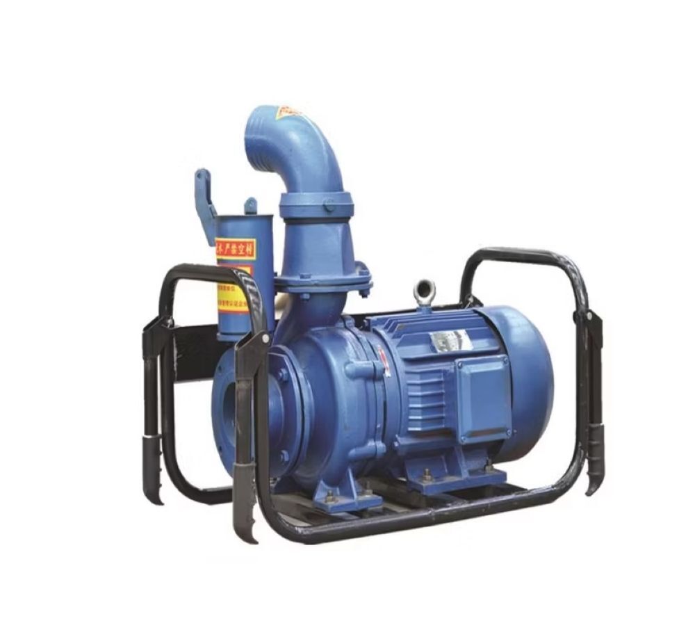 Electrical Pumps - Cast Iron, Standard Size, Blue Color | 50 Hertz, Three-phase, Rated Voltage 220-440 Volt, 1-year Warranty
