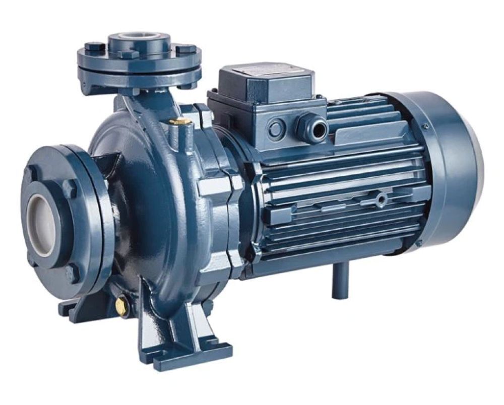 Electrical Pumps - Cast Iron, Standard Size, Blue Color | 50 Hertz, Three-phase, Rated Voltage 220-440 Volt, 1-year Warranty