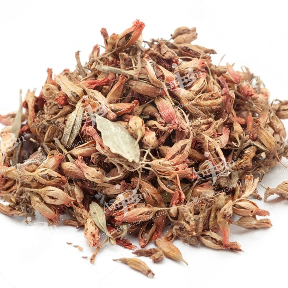 Woodfordia floribundas (Dhai Ke Phool)