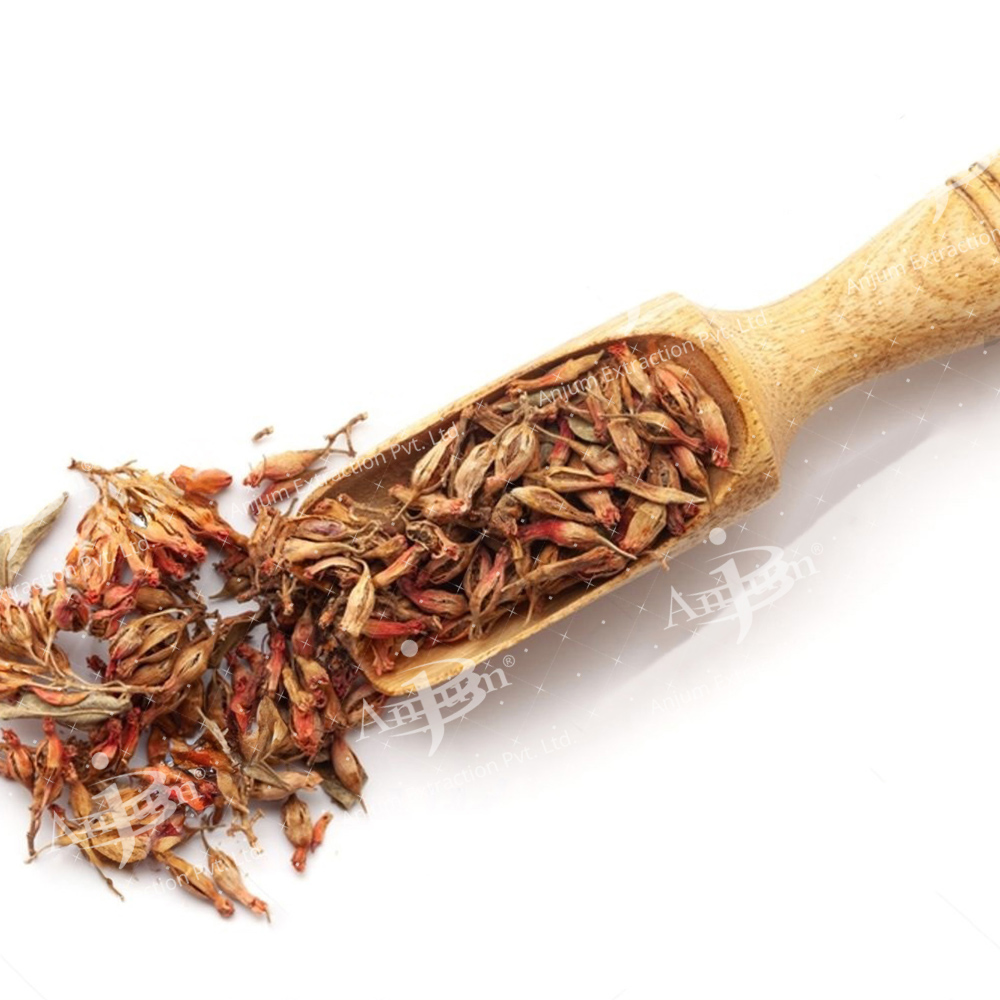 Woodfordia floribundas (Dhai Ke Phool)