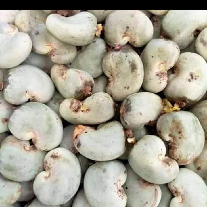 Cashew Nuts - Raw Variety W180, W240, W320 | Nut Count 170-180, Moisture 5%-7%, 0.5% Max Extraneous Matter, 2 Years Shelf Life