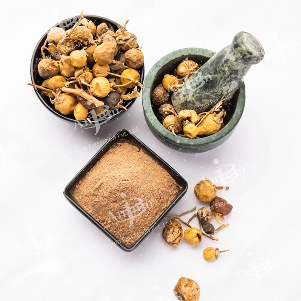 Kateli (Solanum Xanthocarpum) Extract - Application: Medicine