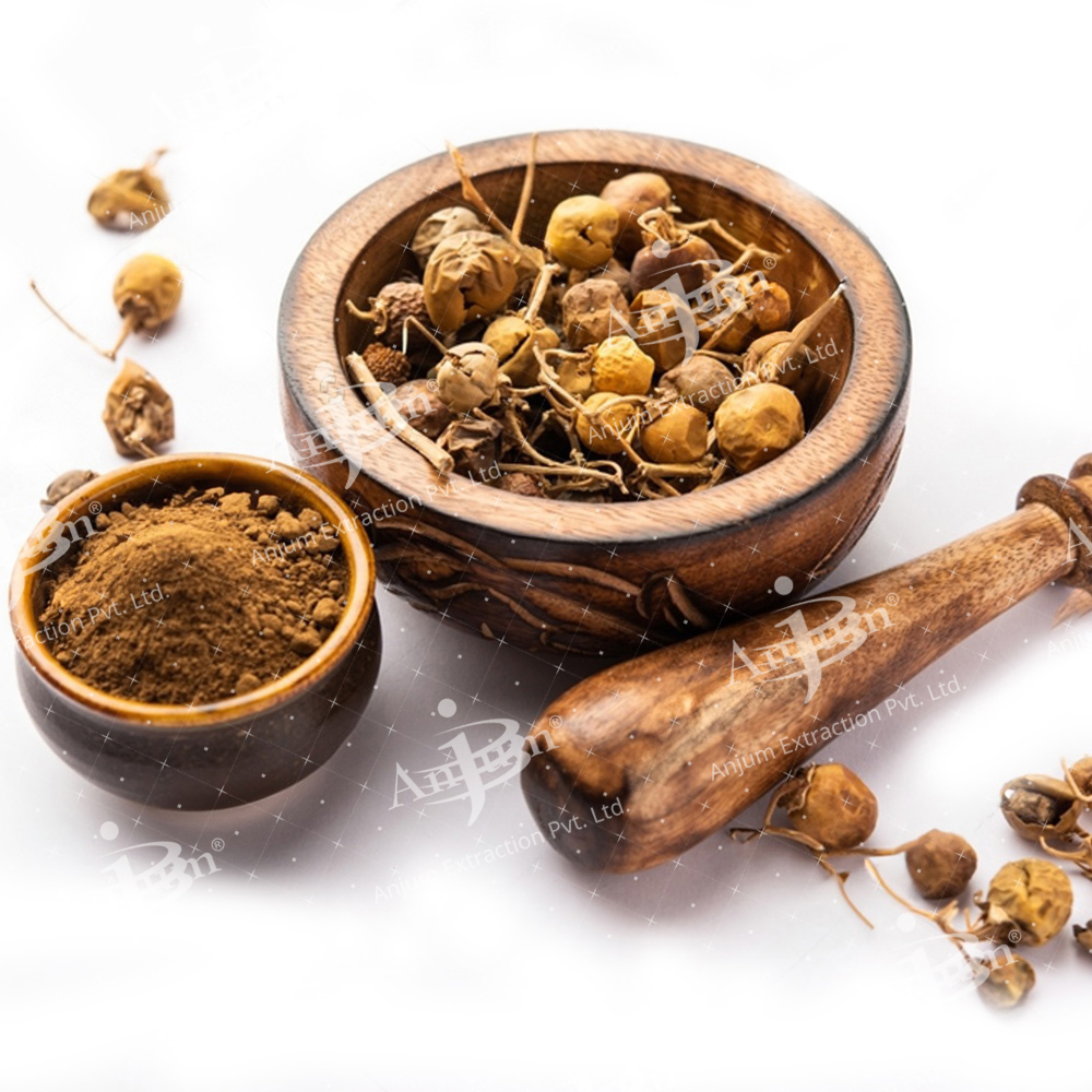 Kateli (Solanum Xanthocarpum) Extract - Application: Medicine
