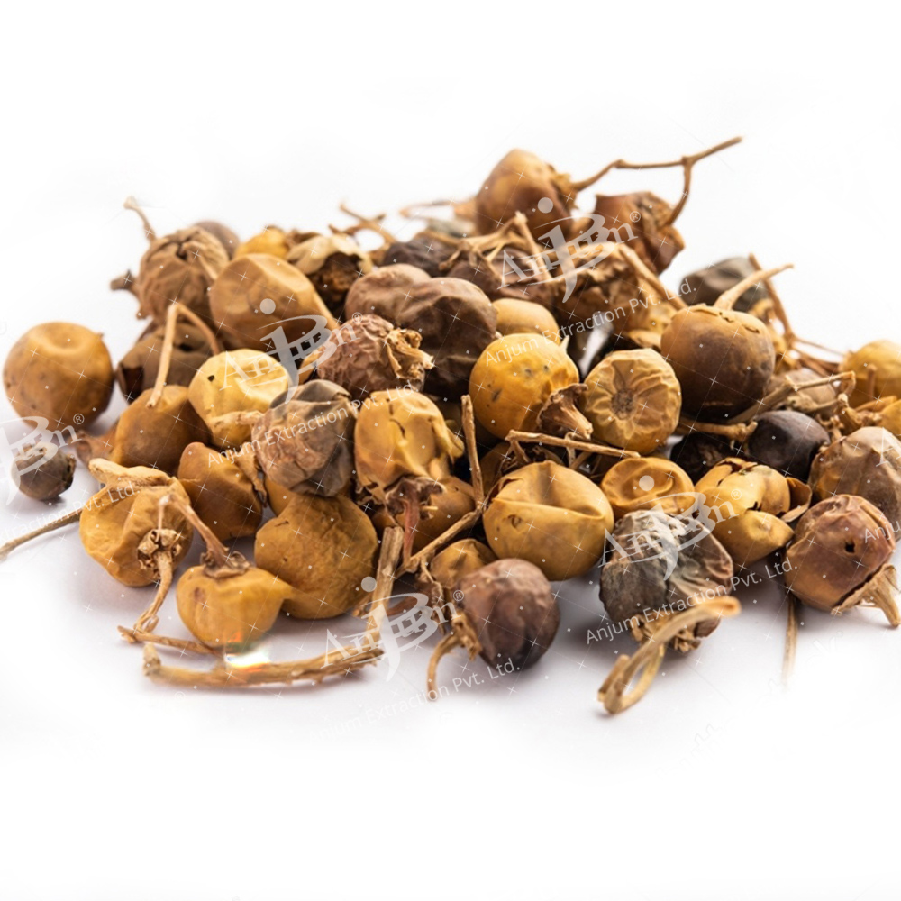Kateli (Solanum Xanthocarpum) Extract - Application: Medicine