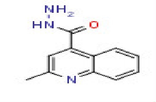 2-Methylquinoline-4- carbohydrazide