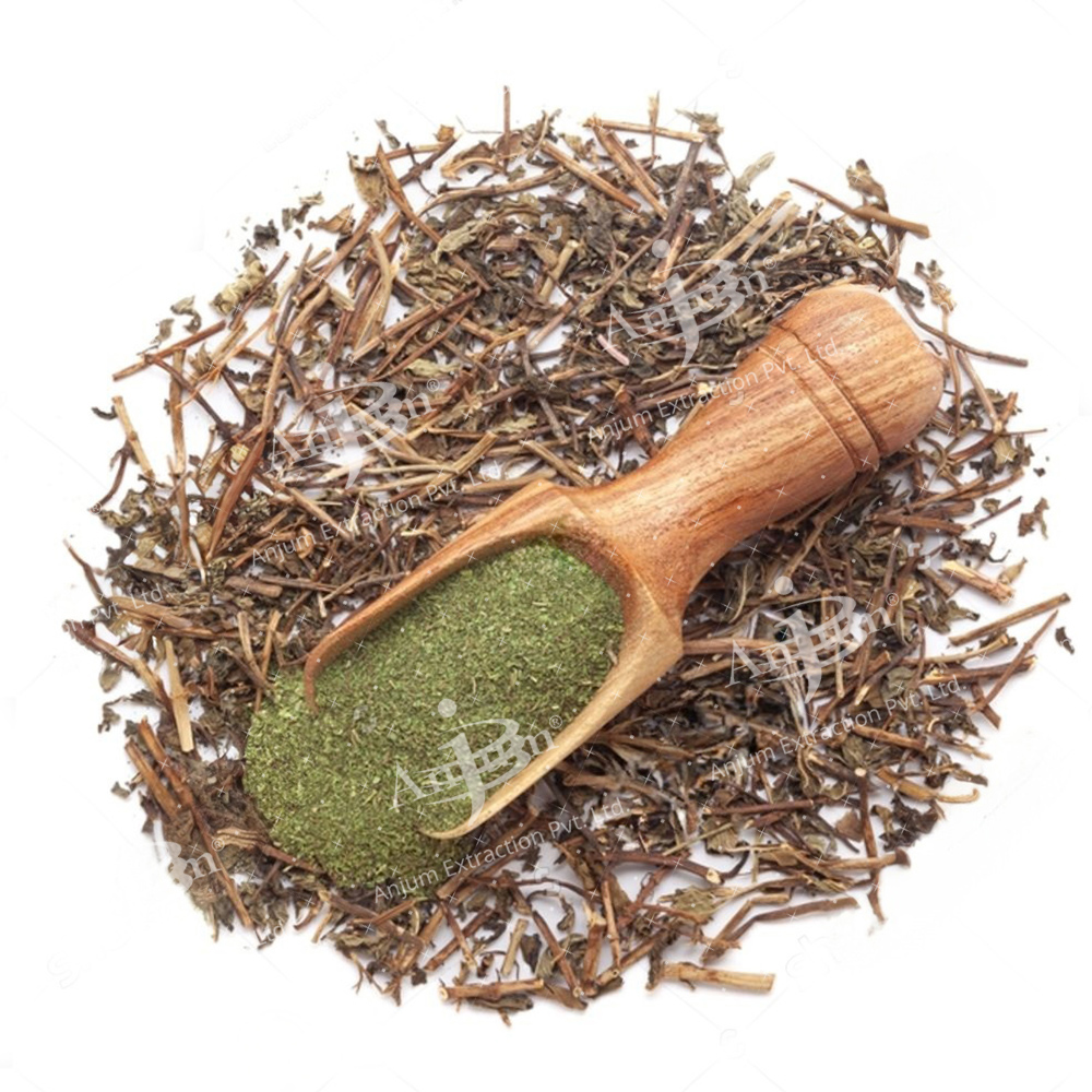 Pudina (Mentha Viridis) Extract - Application: Medicine