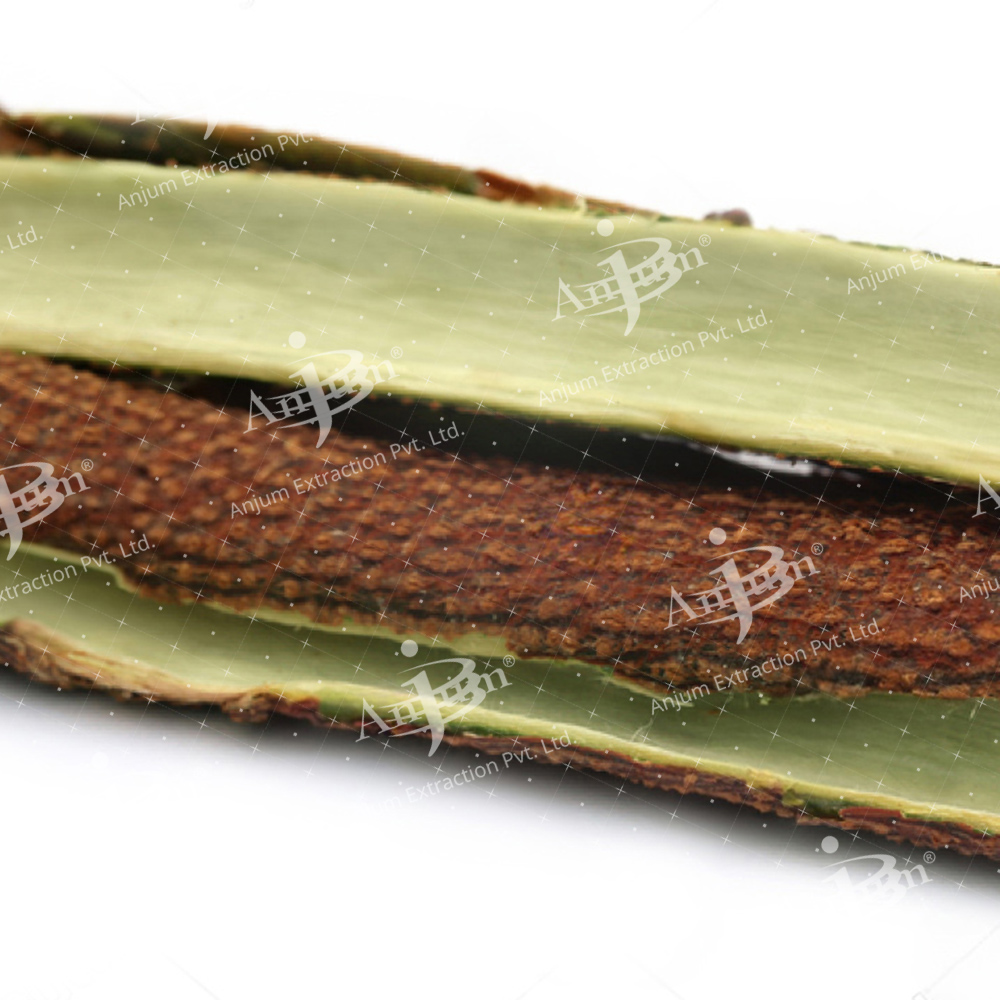 Sahajana Chhal (Moringa oleifera) Extract