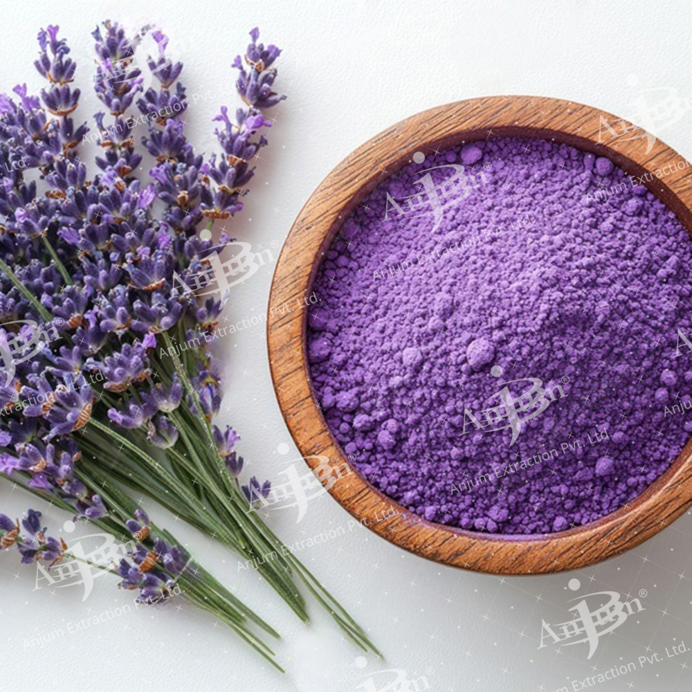 Ustekhadoos (Lavandula stoechas) Extract