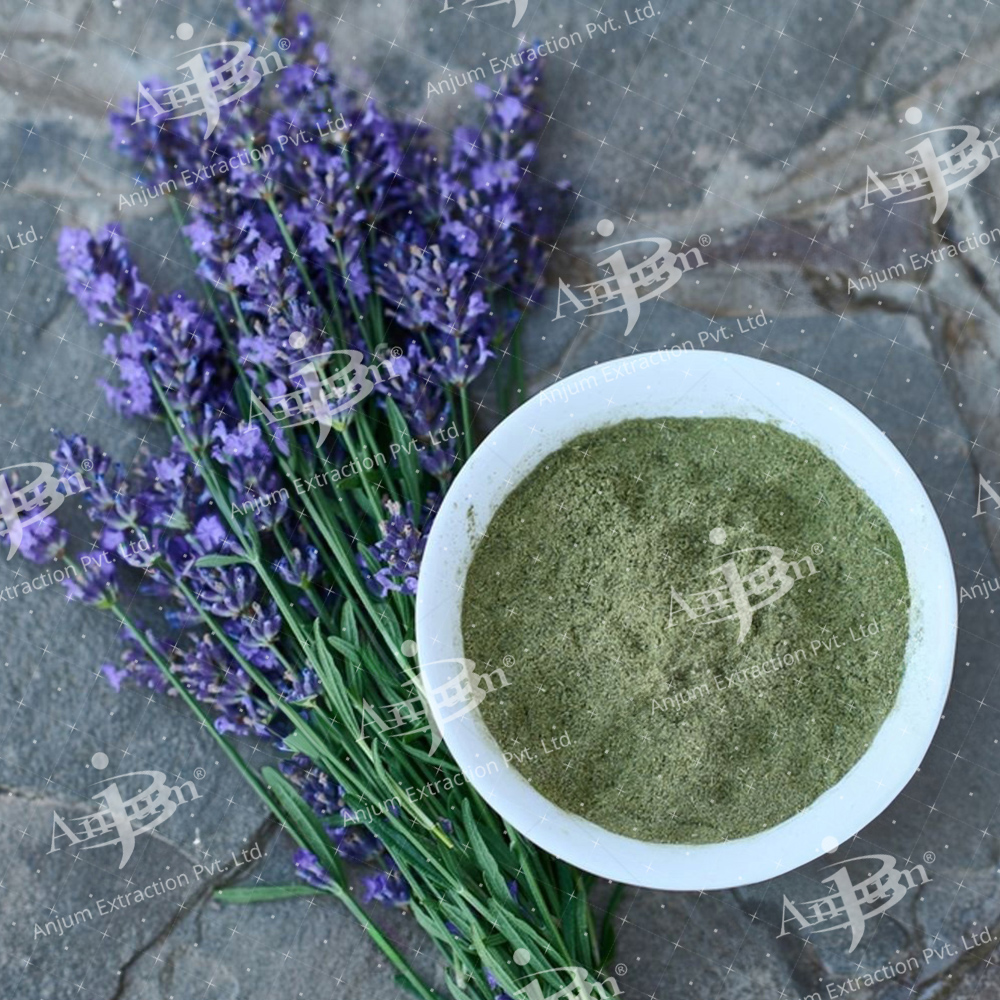 Ustekhadoos (Lavandula stoechas) Extract