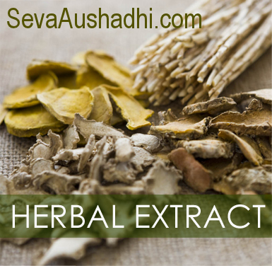 सिस्सस क्वाड्रागुलारिस