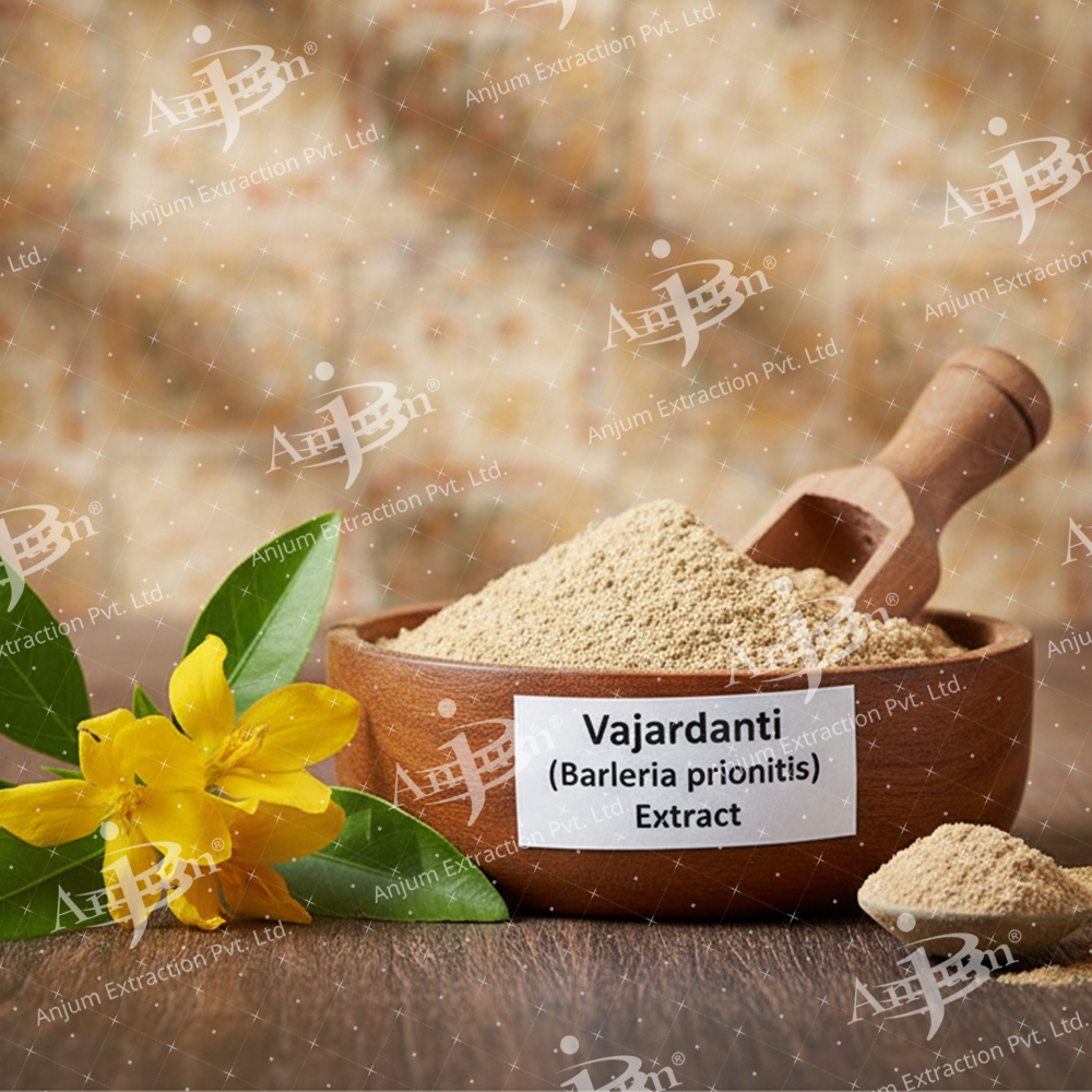 Vajardanti (Barleria Prionitis) Extract - Application: Medicine