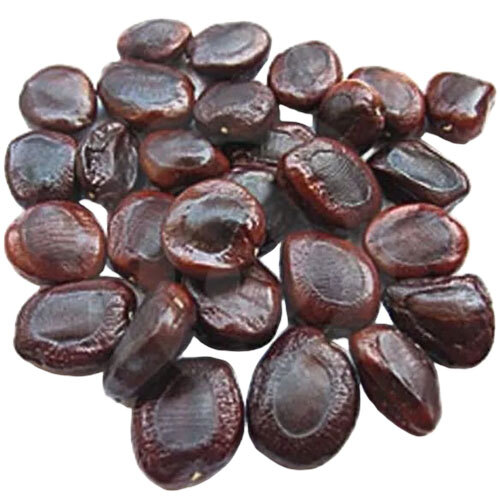 Tamarind Seed - Color: Dark Brown