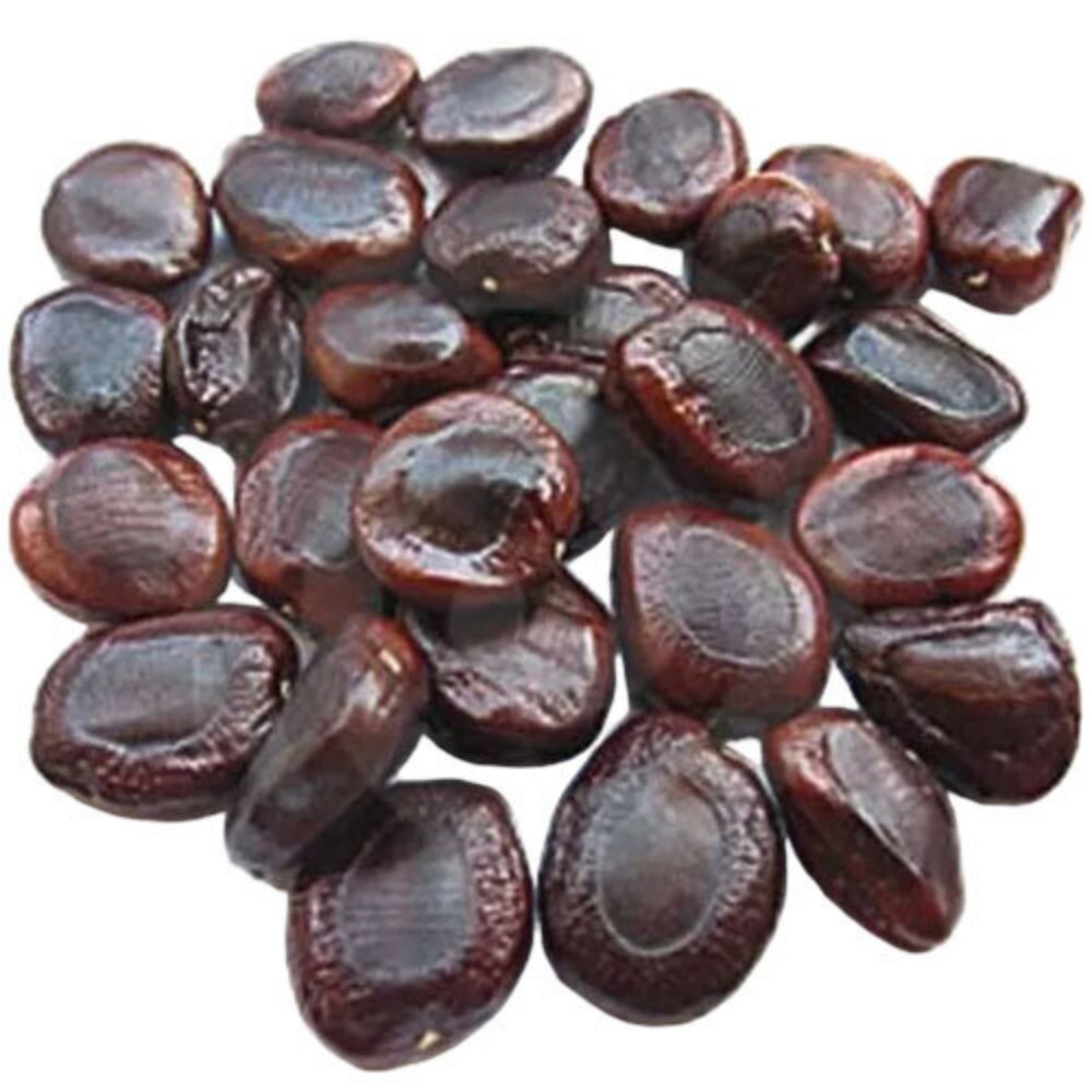 Tamarind Seed