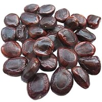 Tamarind Seed - Color: Dark Brown