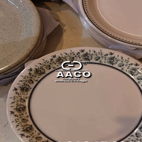 White Porcelain La Opala Dinner - Material: Stainless Steel