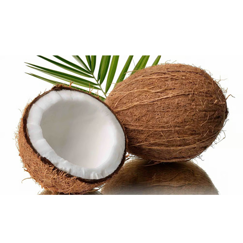 Semi Husked Fresh Indian Coconut