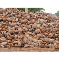Raw Coir Fiber - Color: Brown