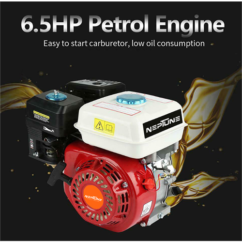 NPE-168 Petrol Engine