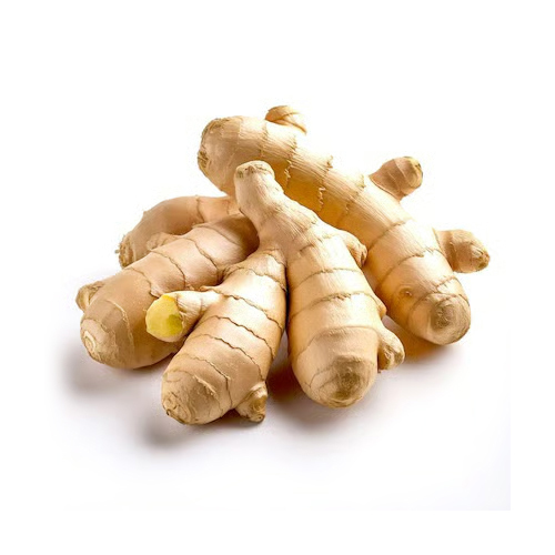 Fresh Ginger Root