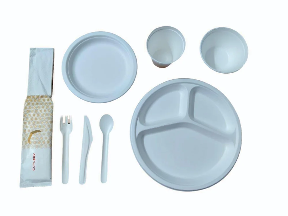 INTERNATIONAL MARKET STANDARD & Export Quality Disposable Bagasse Tableware & Food Paper Products