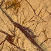 रेनफॉरेस्ट येलो