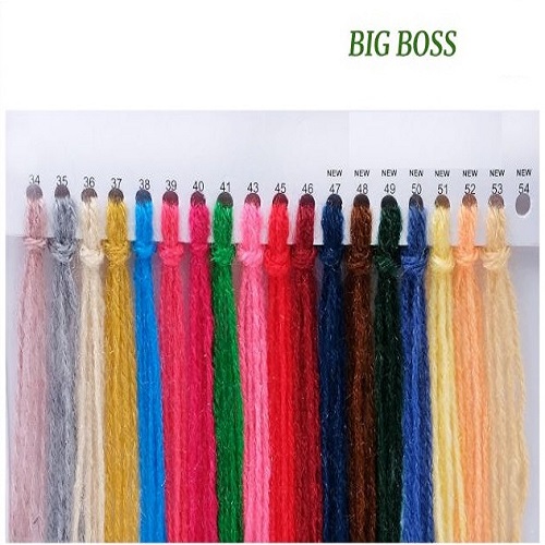 Bigg Boss