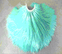 Washing Brush Washing Brush