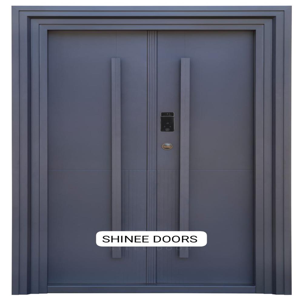 Steel Door in Madurai