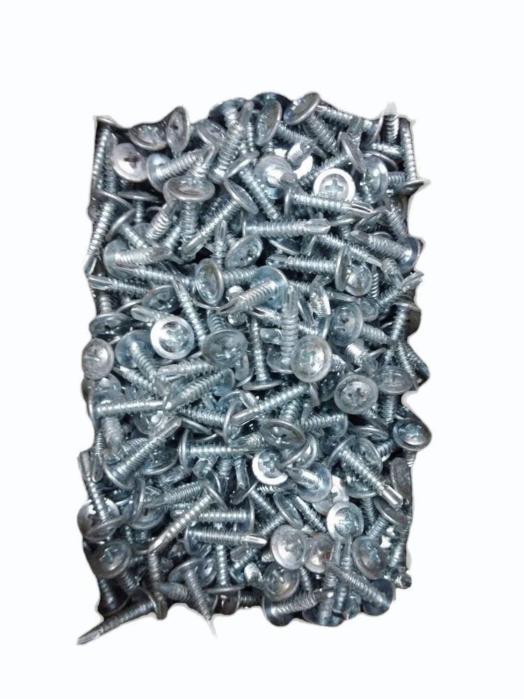 Trust Head Screw - Color: Silver