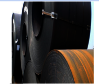 Hr Coils Plate - Coating Type: Requirement Based