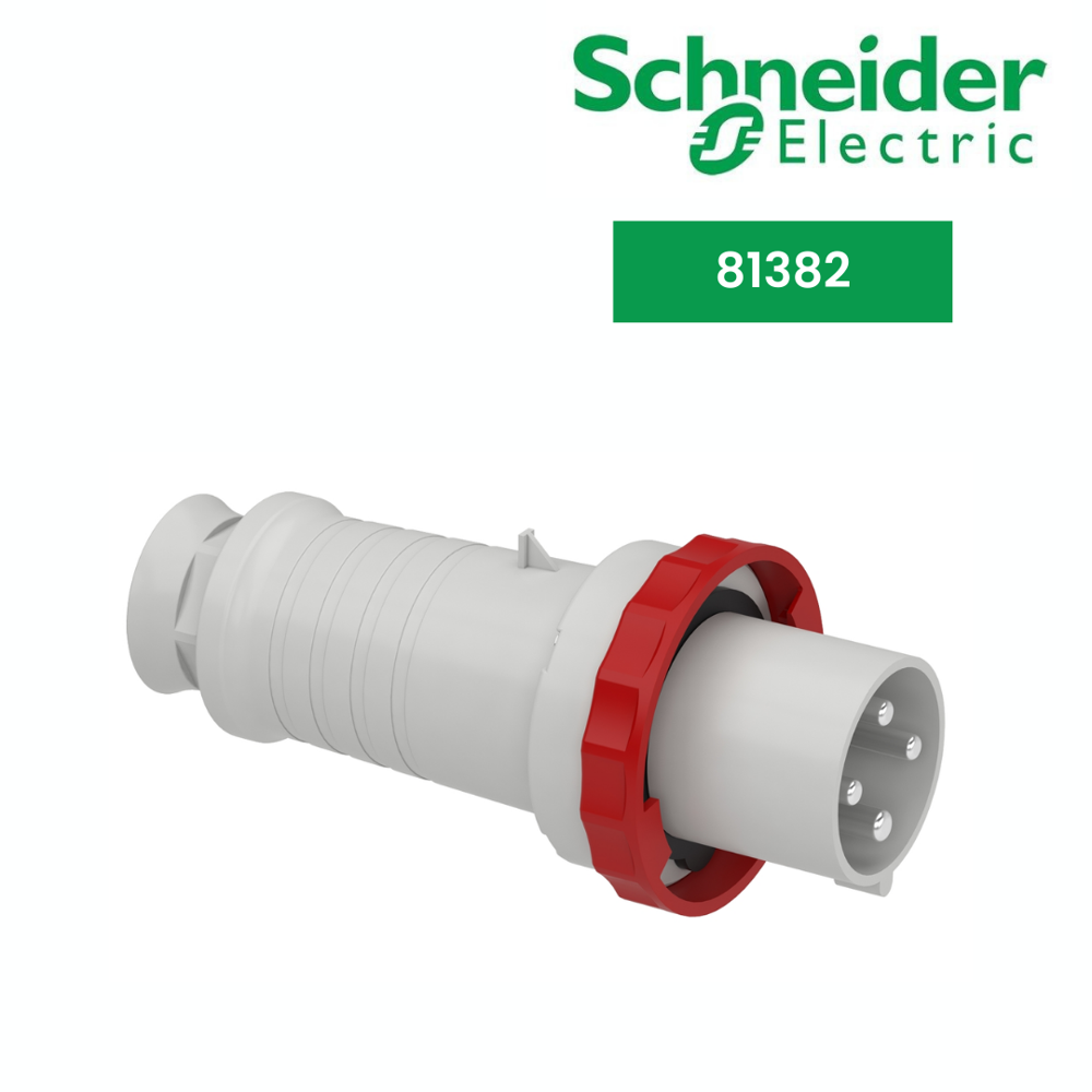 Wander Plug And Socket-81382