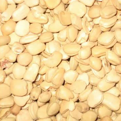 De Husked Tamarind Seed - Color: White