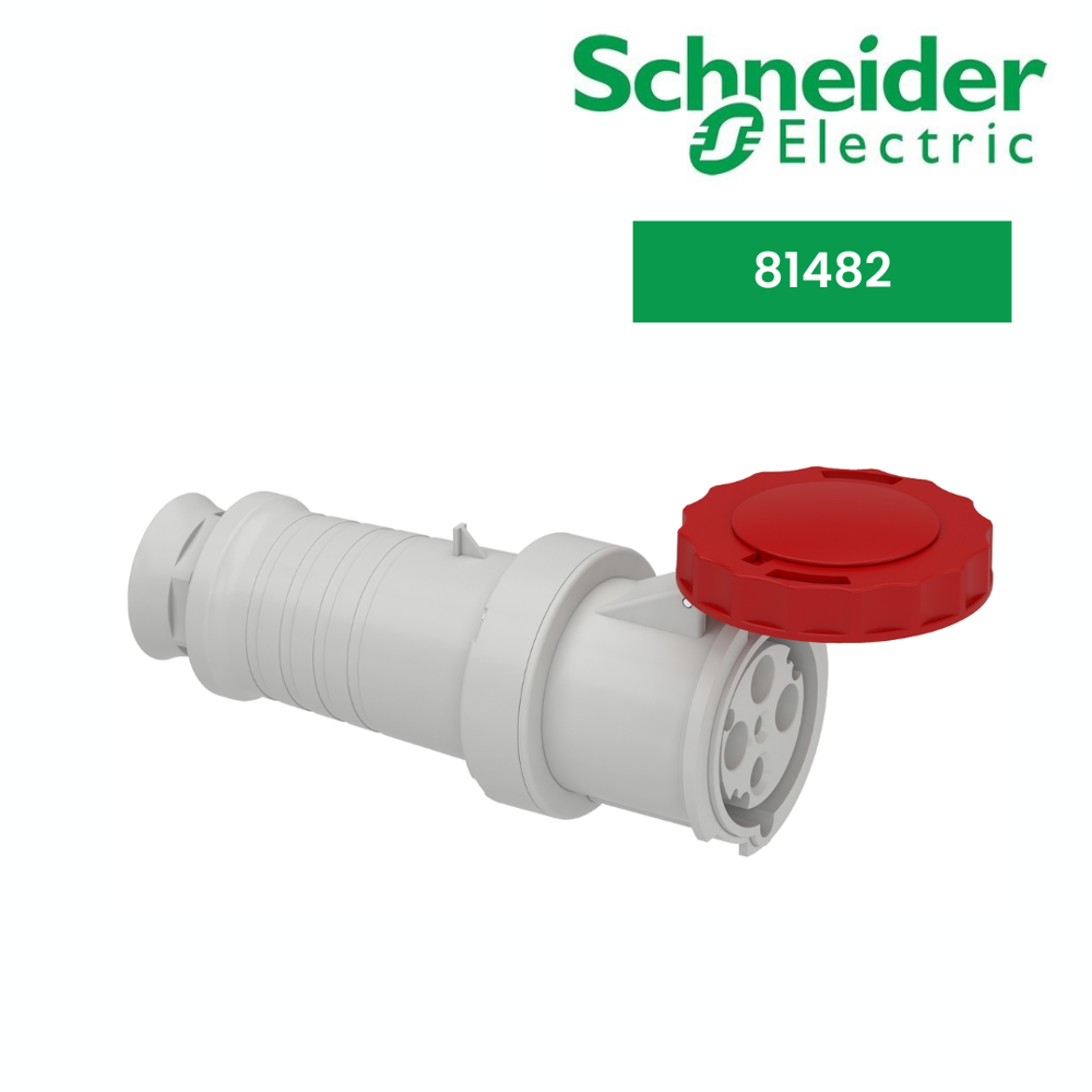 Wander Plug And Socket-81482