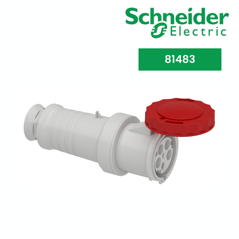 Wander Plug And Socket-81483