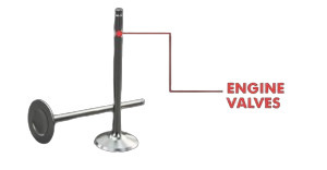 Engine Valves - Color: As Per Demand