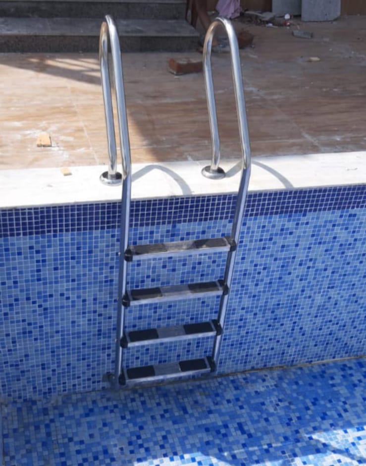 Swimming Pool Skimmer Ladder