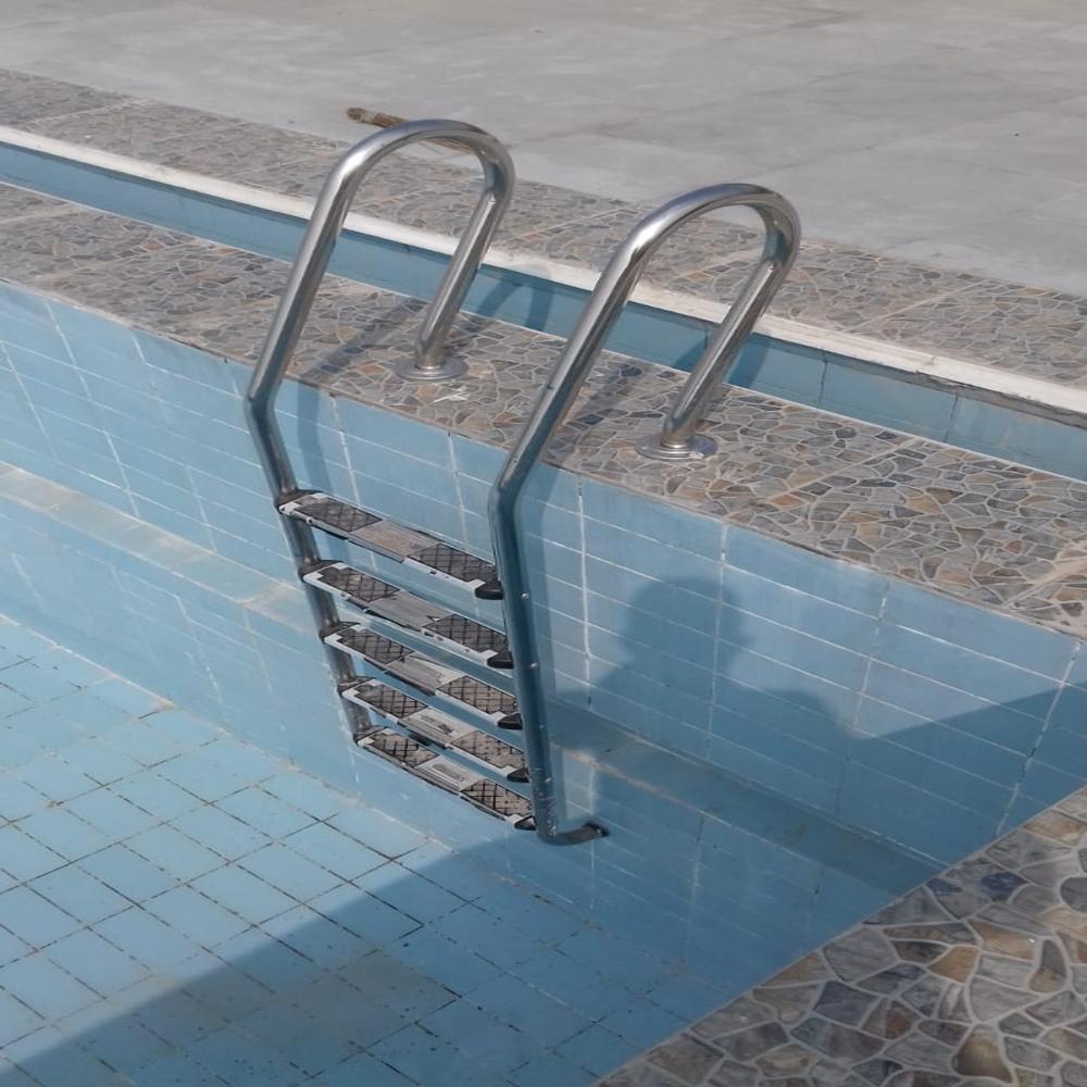 Swimming Pool Skimmer Ladder