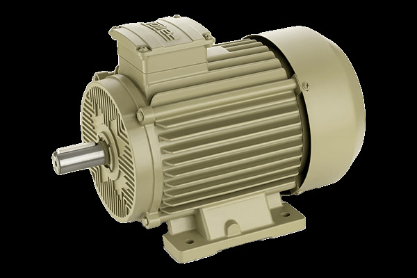 3 Phase Induction Motor - Features: Stable Performance