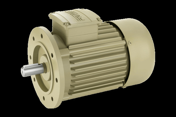 Electric 3 Phase Induction Motor - Features: Durable