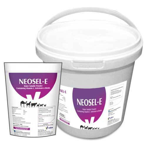 Poultry Immunity Booster