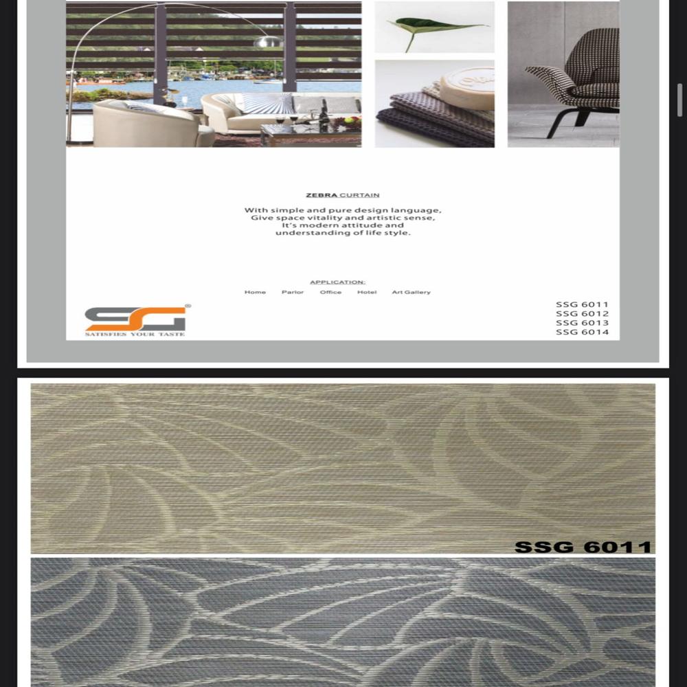 Ssg Office Zebra Blinds And Tracks - Color: All Color