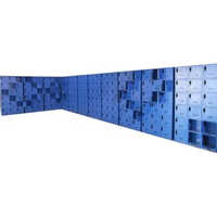 Door Ms Locker - Color: Blue