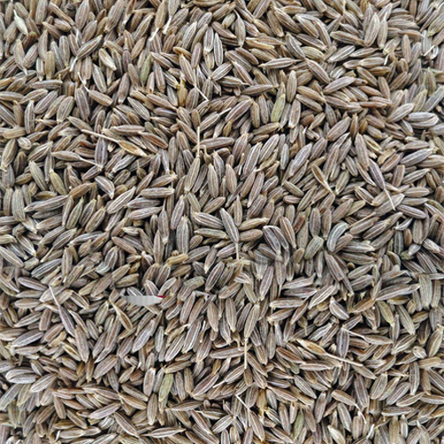Cumin Seeds - Color: Brown